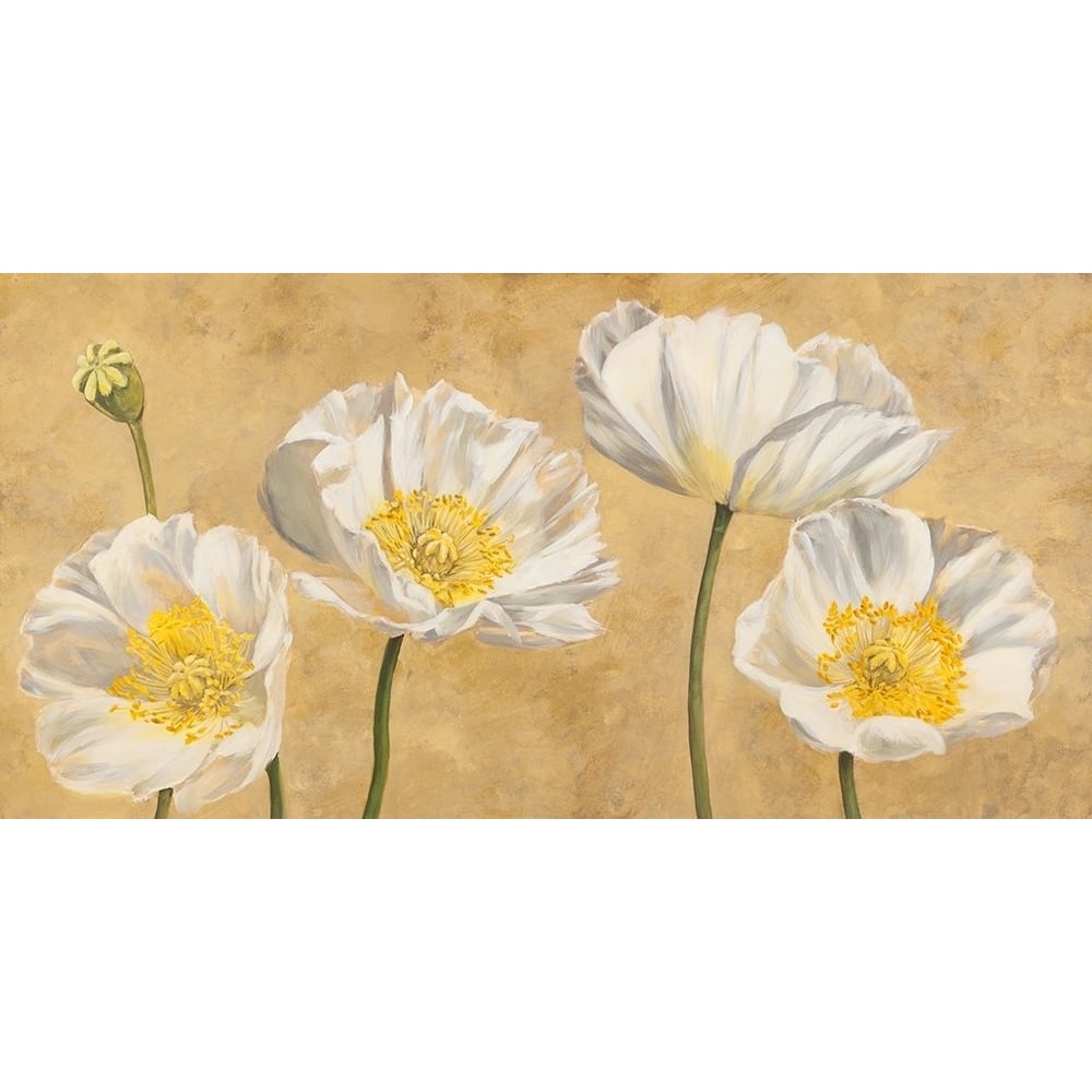 Poppies on Gold Poster Print by Villa Luca-VARPDX2LC4503 Image 1