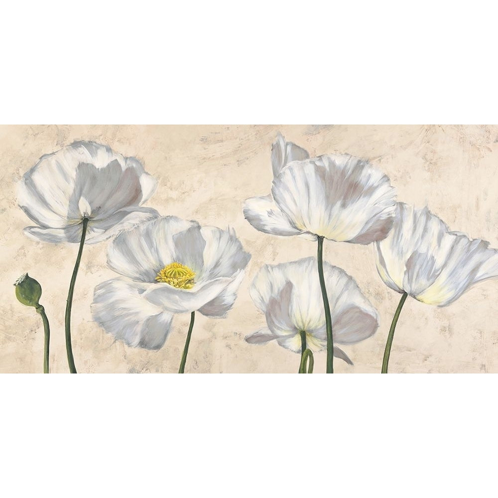 Poppies in White Poster Print by Villa Luca-VARPDX2LC4504 Image 1