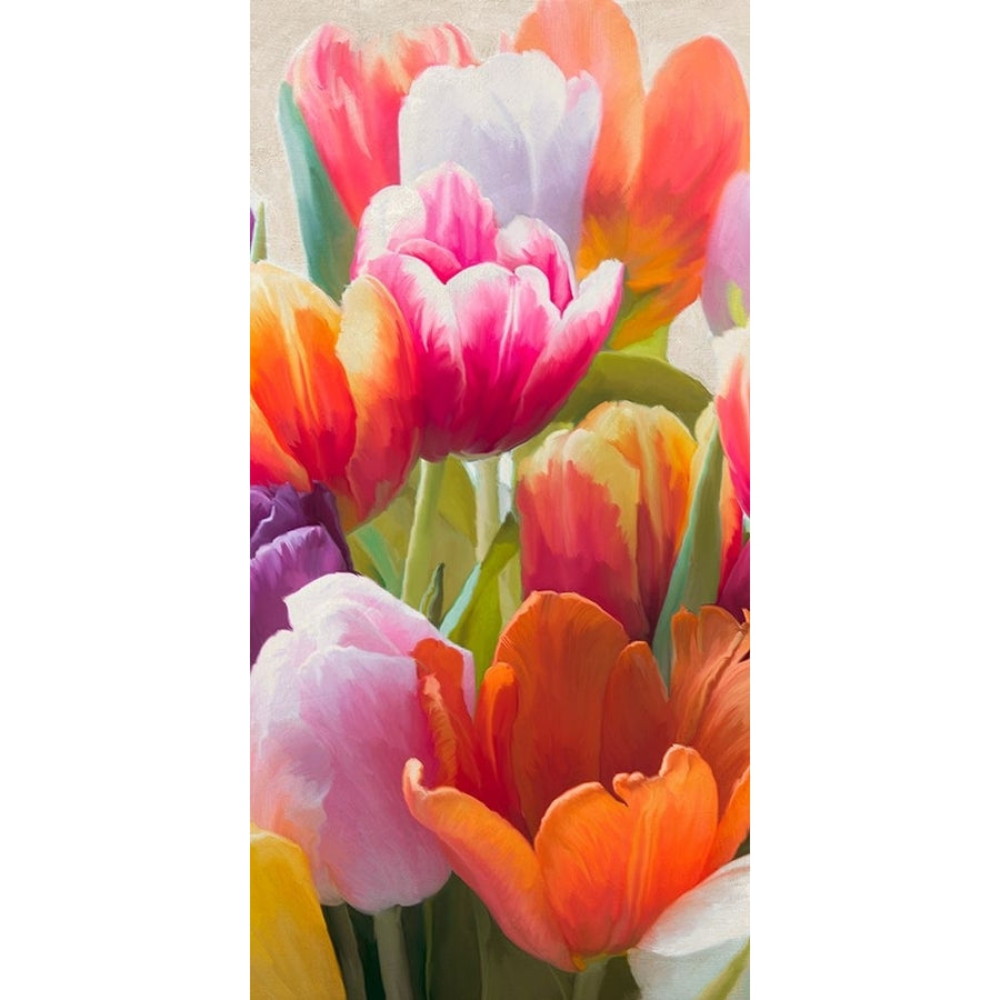 Spring Tulips II Poster Print - Luca Villa-VARPDX2LC5826 Image 1