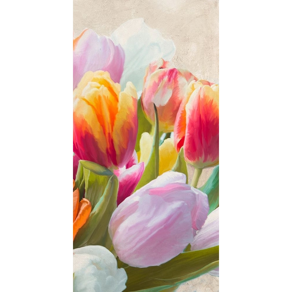 Spring Tulips III Poster Print - Luca Villa-VARPDX2LC5827 Image 1