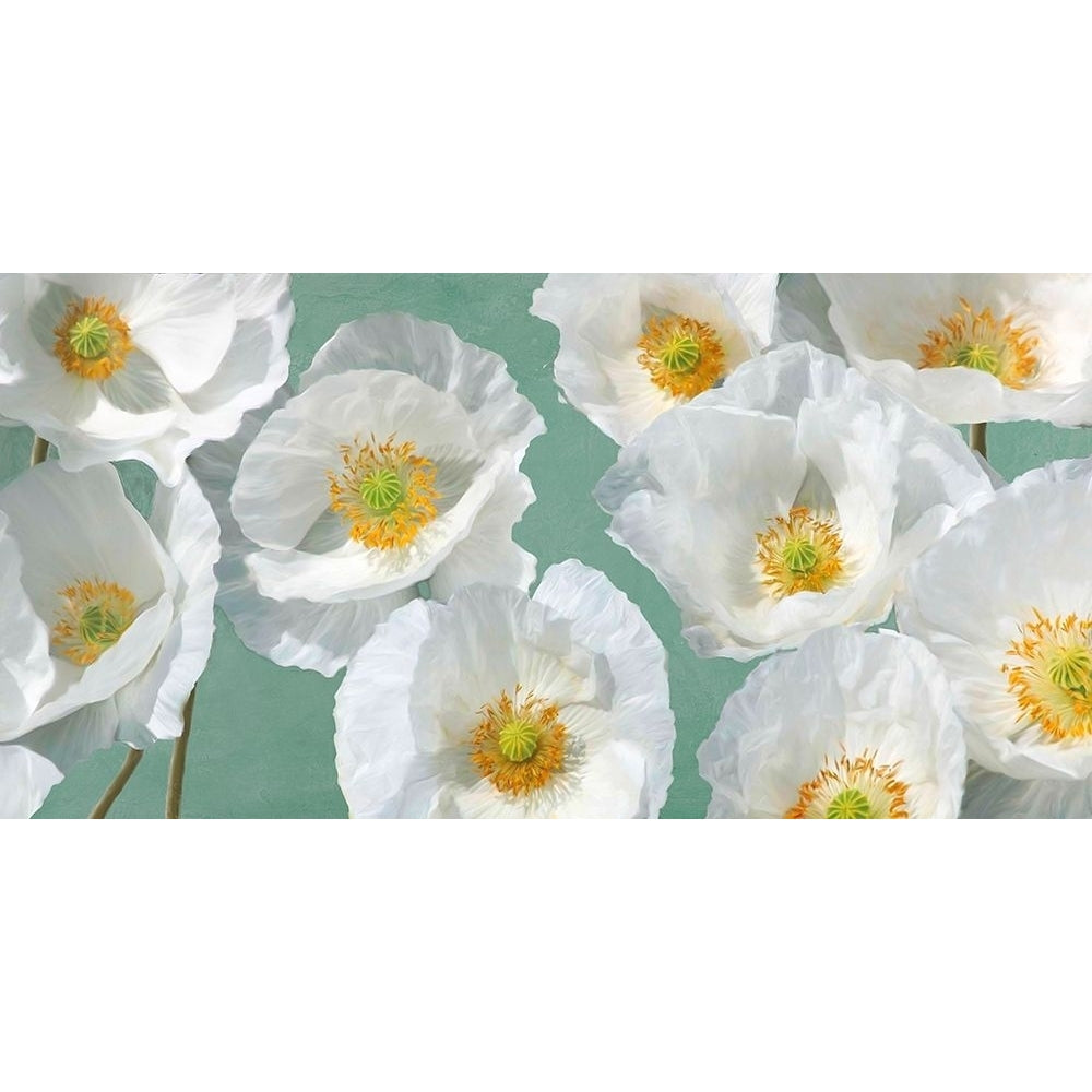 Poppy Arrangement-VARPDX2LN4896 Image 1