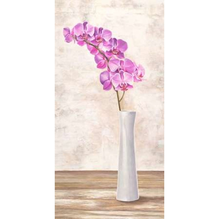 Orchid Arrangement Poster Print by Shin Mills-VARPDX2MI2401 Image 1