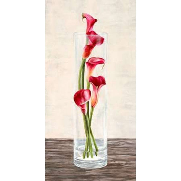 Arrangement of callas Poster Print by Shin Mills-VARPDX2MI2857 Image 1