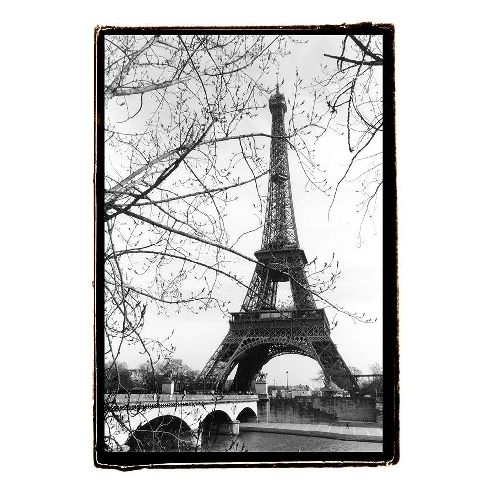 Eiffel Tower Along The Seine River Poster Print - Laura DeNardo-VARPDX30067D Image 1