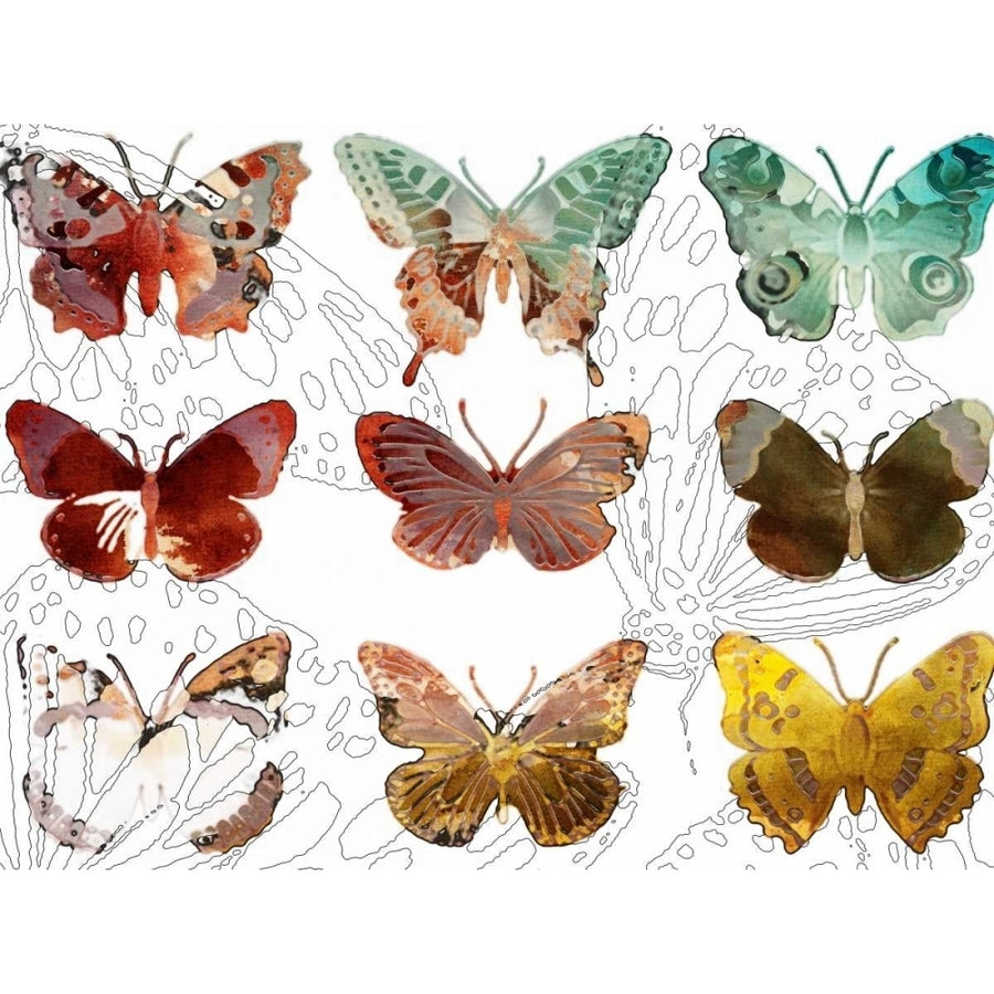 Layered Butterflies II Poster Print - Sisa Jasper-VARPDX30084D Image 1