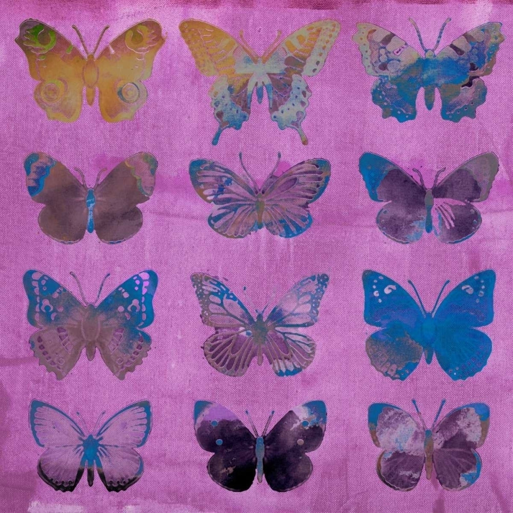 Butterflies on Magenta Poster Print - Sisa Jasper-VARPDX30089D Image 1