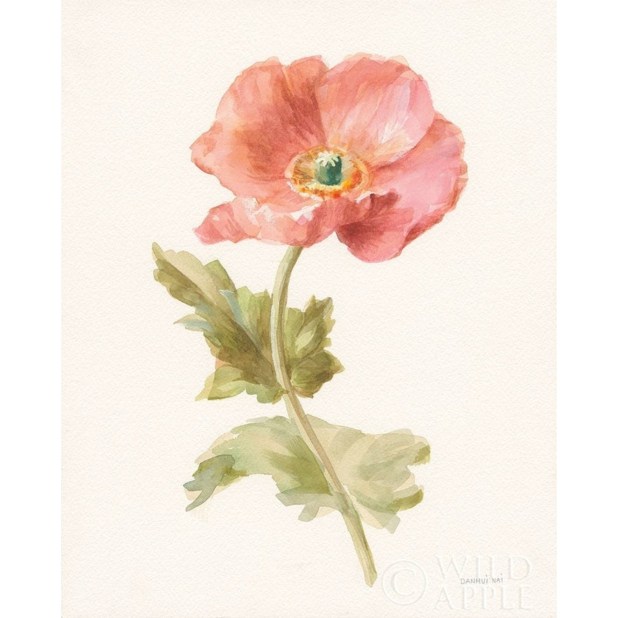 Garden Poppy Poster Print by Danhui Nai-VARPDX30351 Image 1