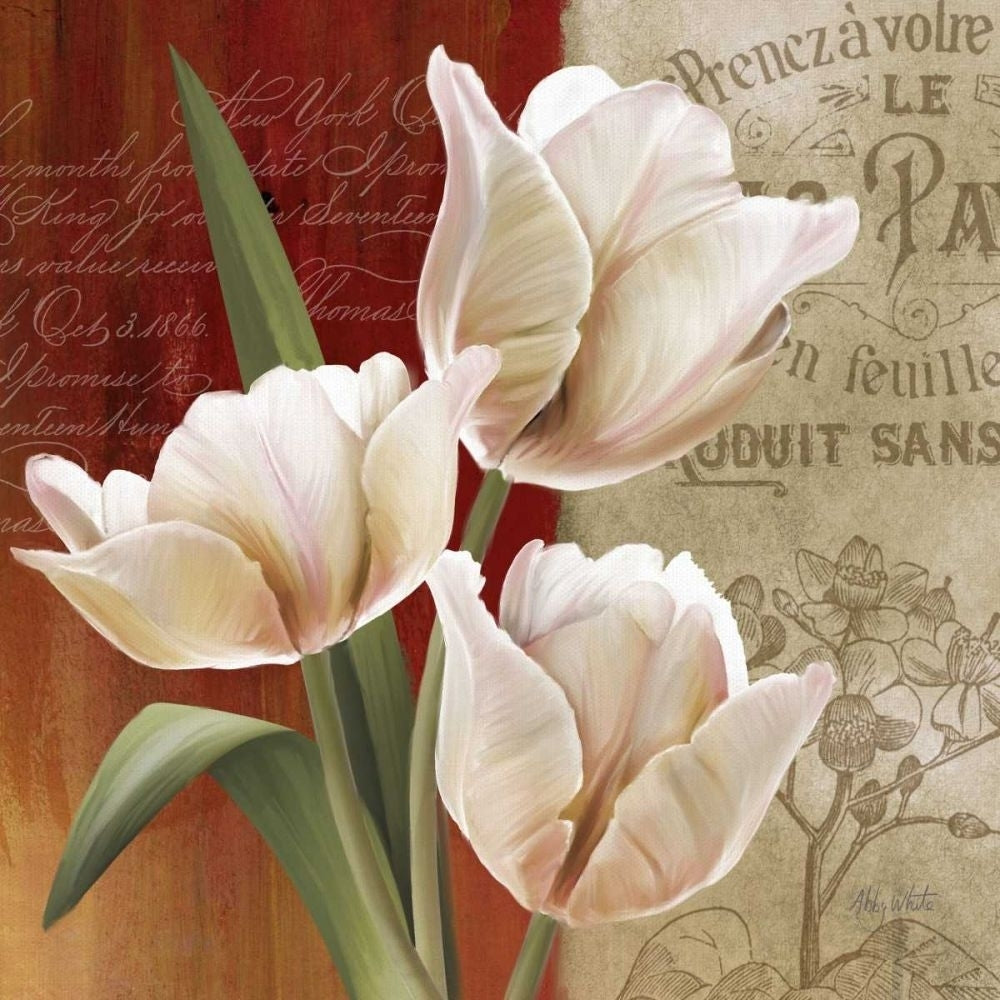 French Tulip Collage II Poster Print - Abby White-VARPDX30179D Image 1