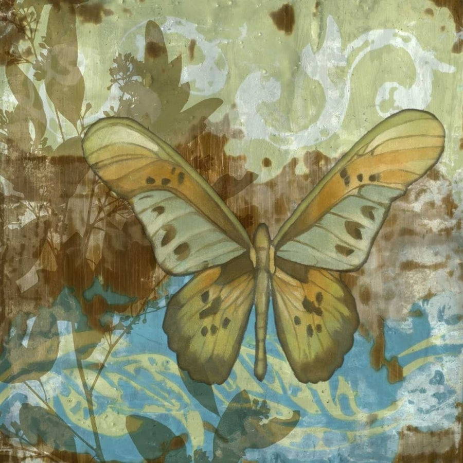 Rustic Butterfly II Poster Print - Jennifer Goldberger-VARPDX30212D Image 1