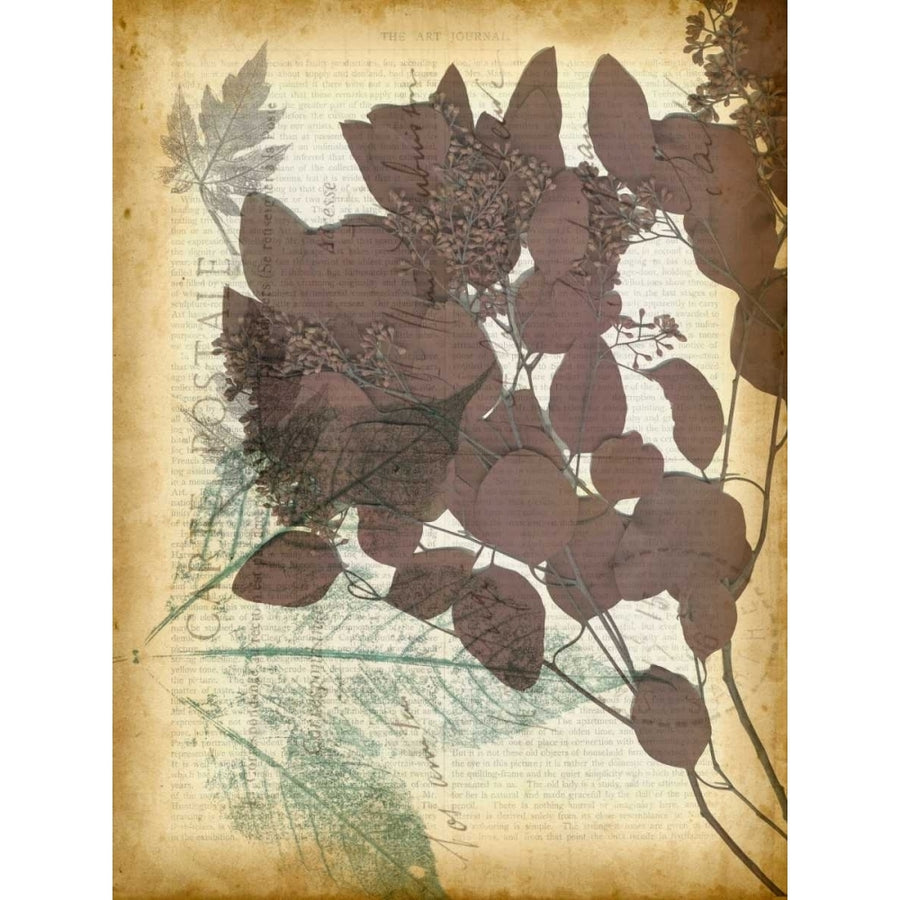 Leaf Letters I Poster Print - Jennifer Goldberger-VARPDX30215D Image 1