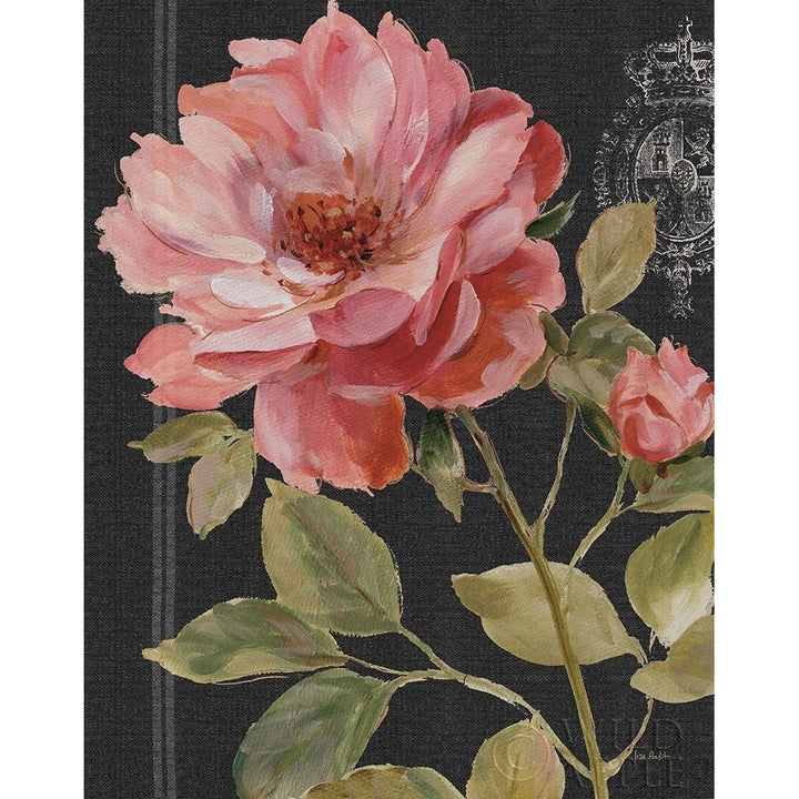 Harmonious Rose Black Poster Print by Lisa Audit-VARPDX30229 Image 1