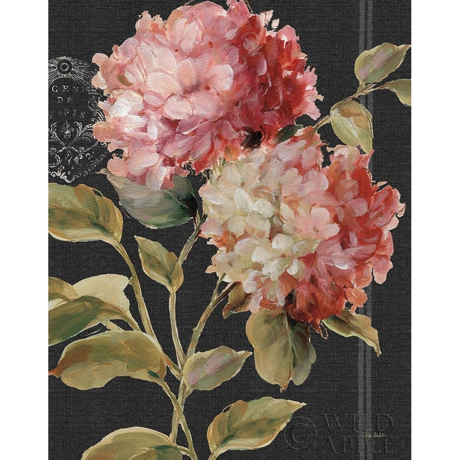 Harmonious Hydrangeas Poster Print by Lisa Audit-VARPDX30230 Image 1