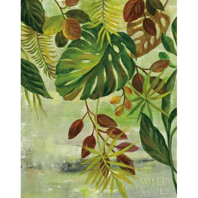 Tropical Greenery II Poster Print by Silvia Vassileva-VARPDX30446 Image 2