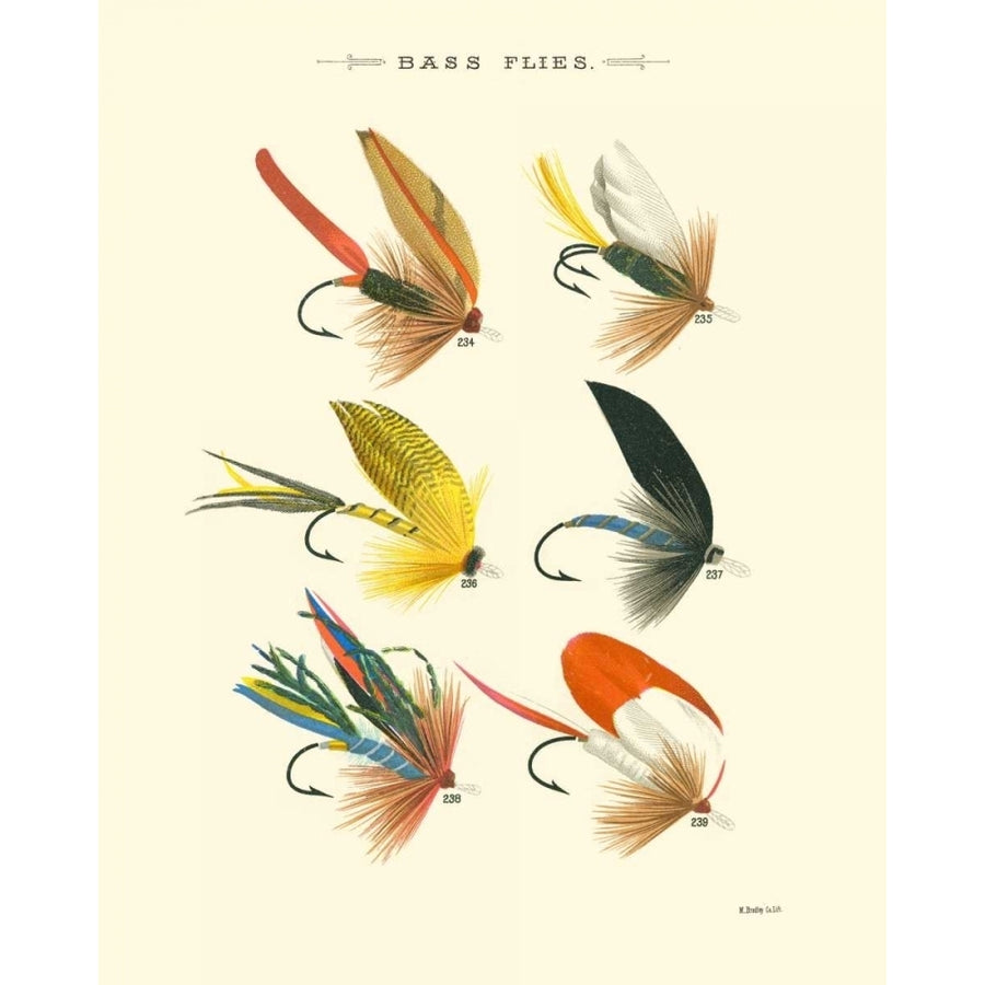 Bass Flies I Poster Print - Studio Vision-VARPDX30765D Image 1