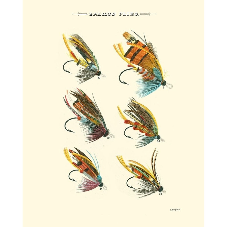 Salmon Flies II Poster Print - Studio Vision-VARPDX30764D Image 1