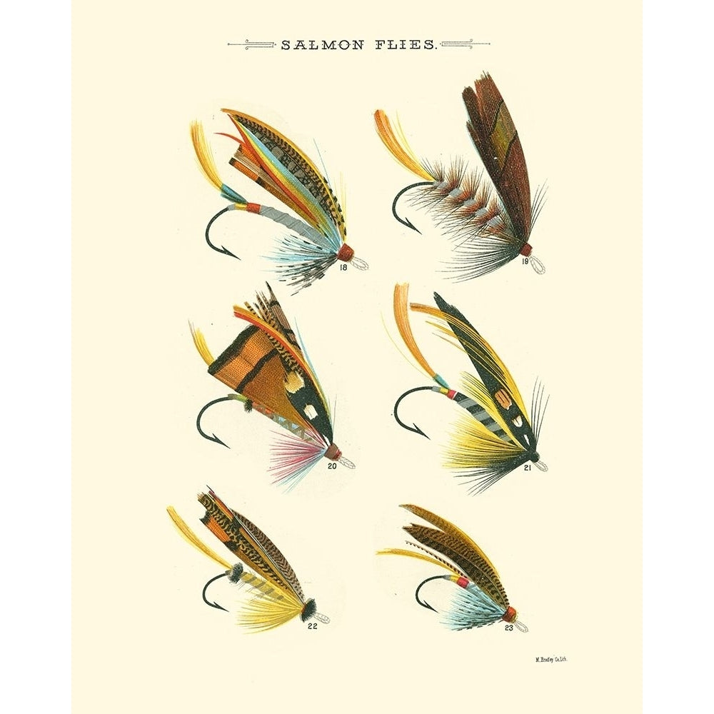 Salmon Flies I Poster Print - Studio Vision-VARPDX30763D Image 1