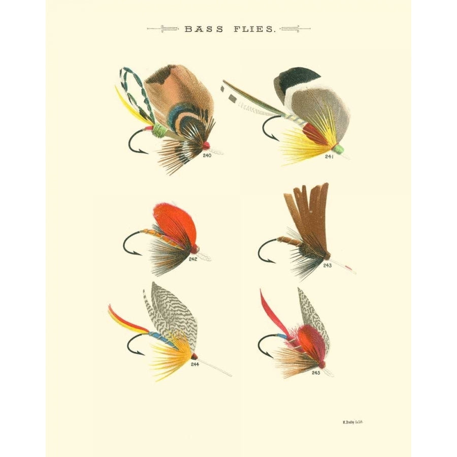 Bass Flies II Poster Print - Studio Vision-VARPDX30766D Image 1