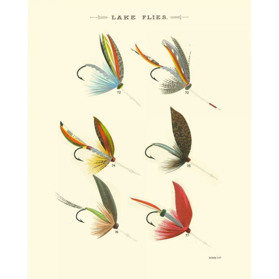 Lake Flies II Poster Print - Studio Vision-VARPDX30770D Image 1