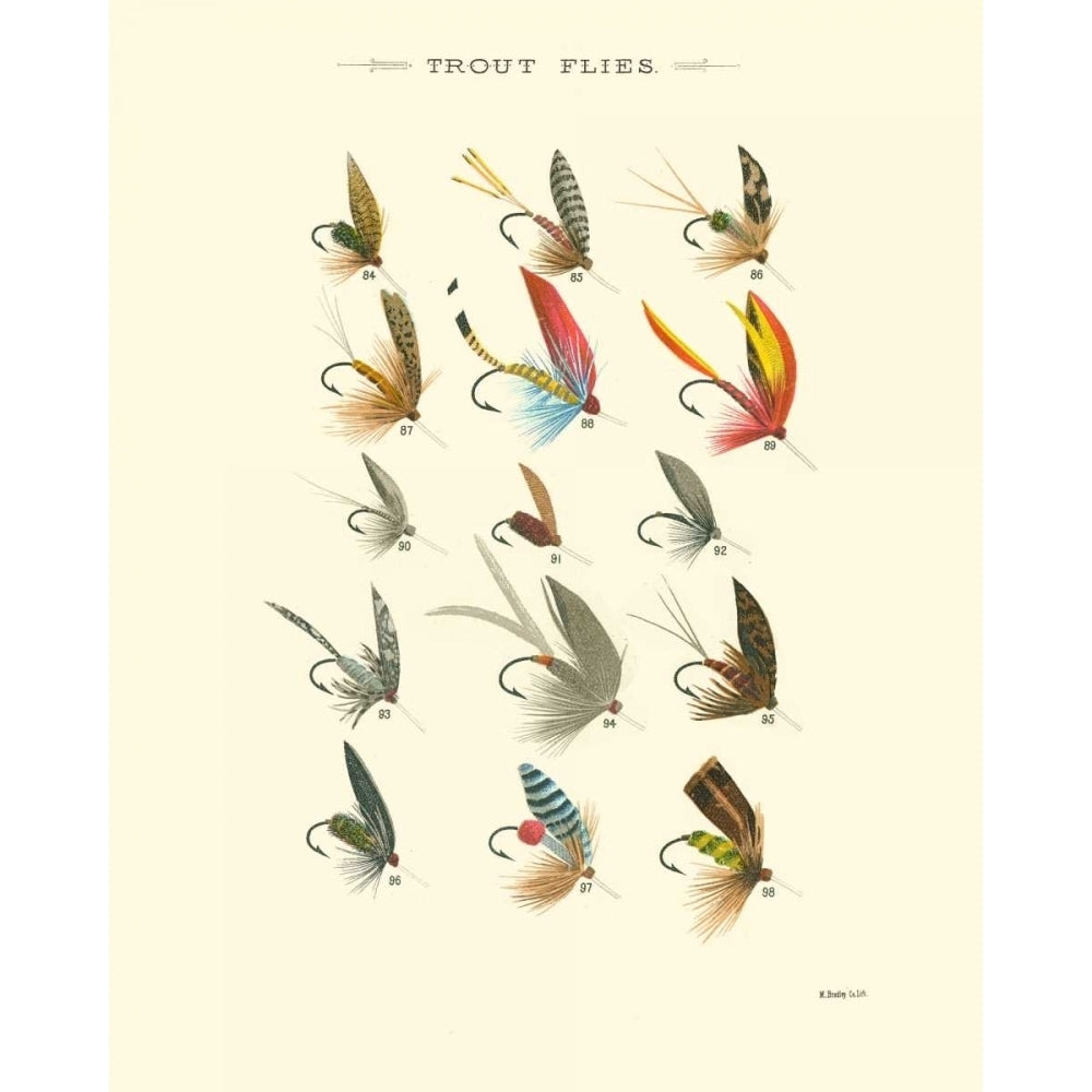 Trout Flies I Poster Print - Studio Vision-VARPDX30767D Image 1