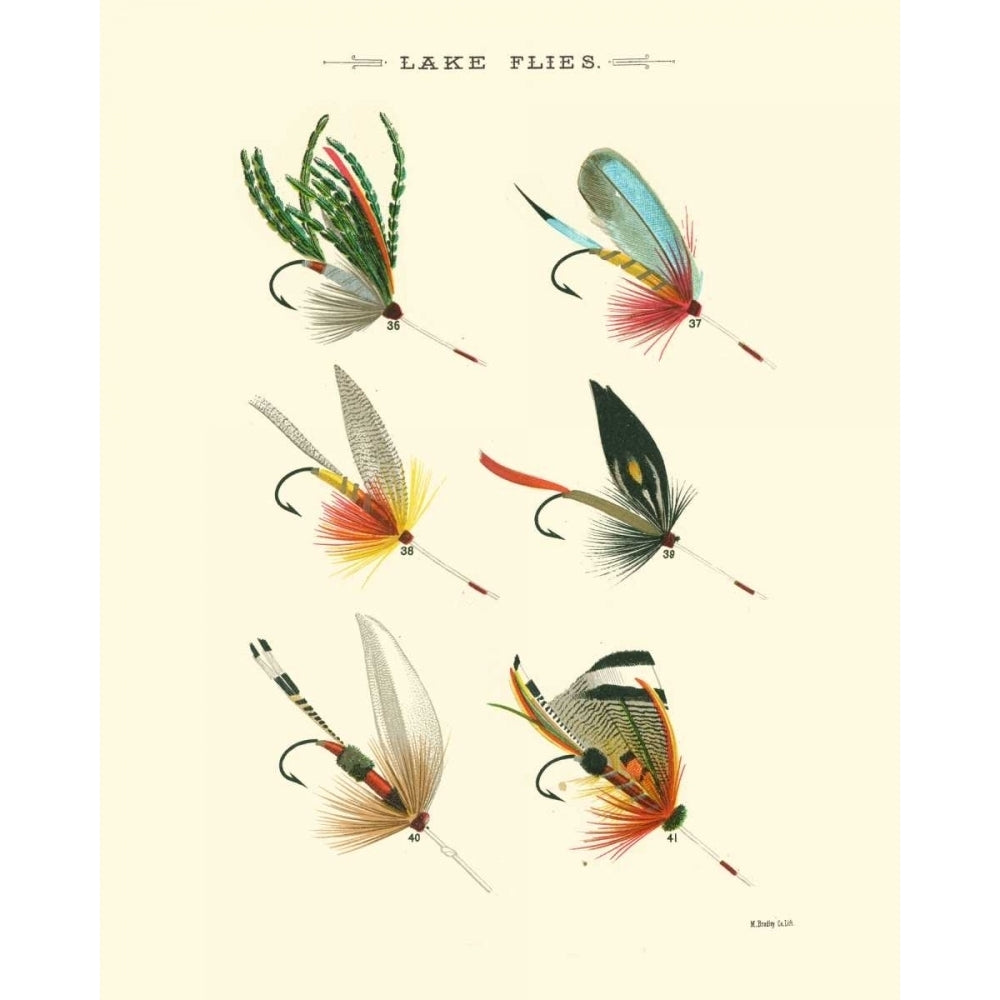 Lake Flies I Poster Print - Studio Vision-VARPDX30769D Image 1