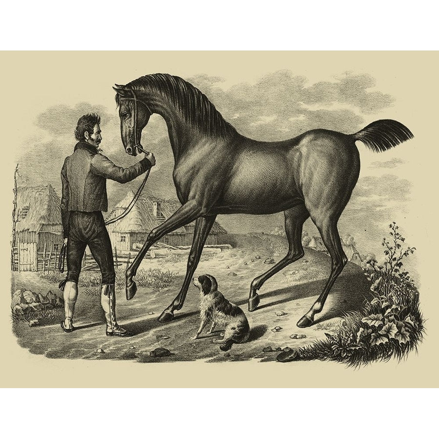 Horse and Horsemen VI Poster Print - Brodtmann-VARPDX30796D Image 1