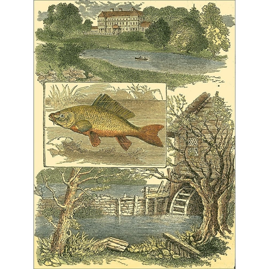 Fishermans Vignette I Poster Print - Studio Vision-VARPDX30871D Image 1