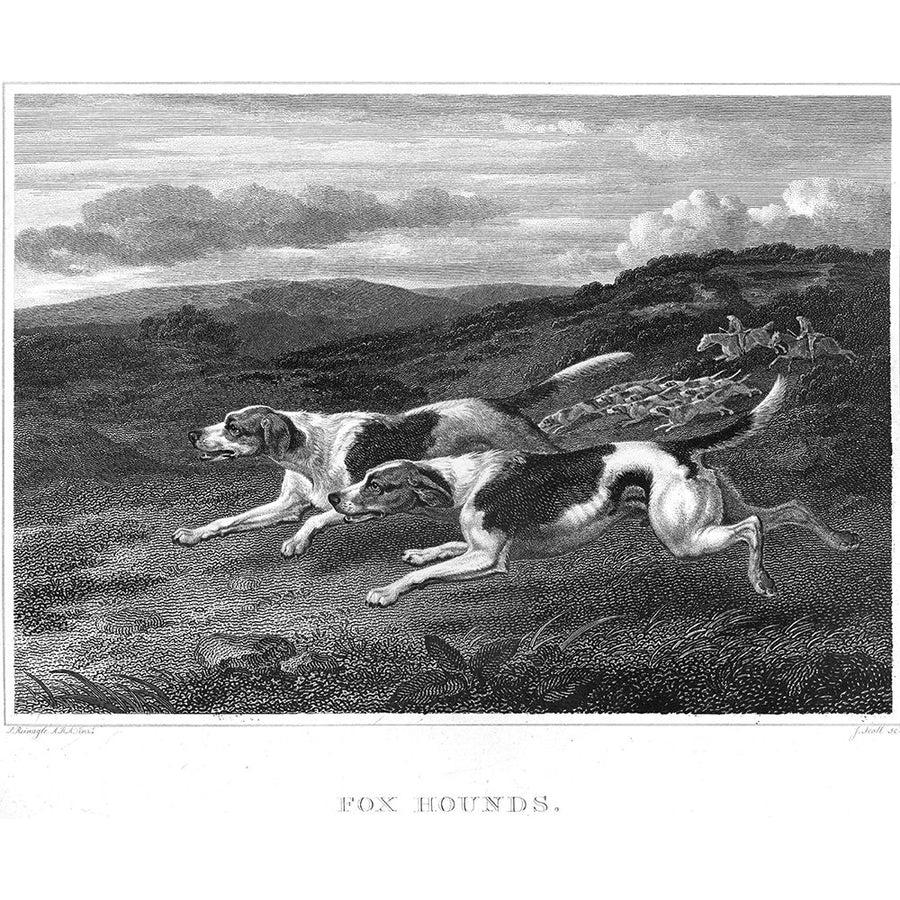 Foxhounds Poster Print - John Scott-VARPDX30869D Image 1