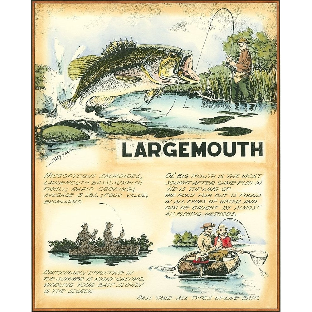 Large Mouth Poster Print - Robert Settle-VARPDX30570D Image 1