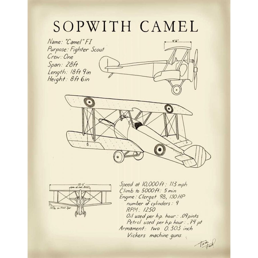 Sopwith Camel Poster Print - Tara Friel-VARPDX30562D Image 1