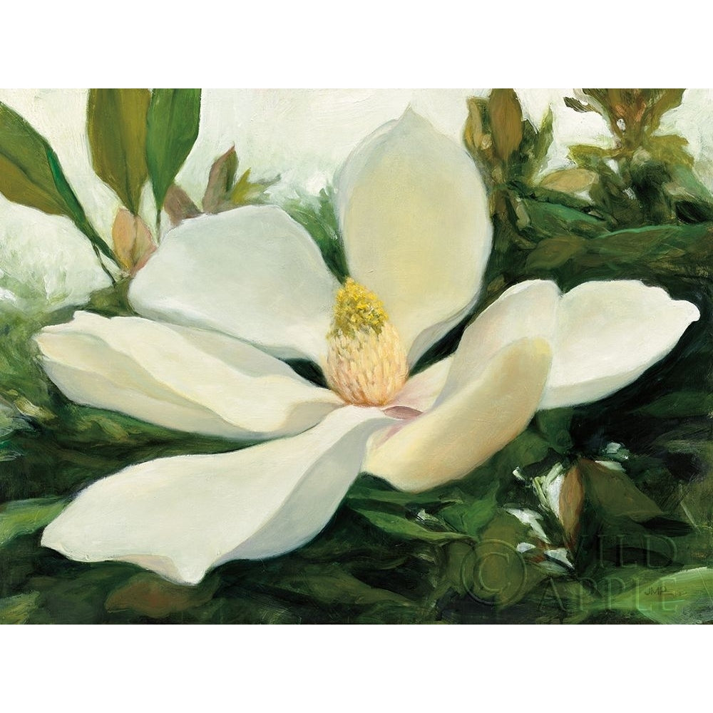 Majestic Magnolia Poster Print by Julia Purinton-VARPDX30708G Image 1