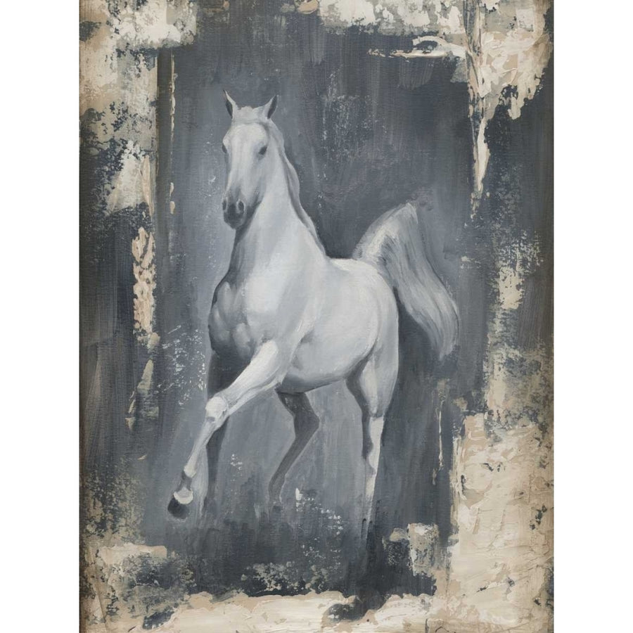 Running Stallion II Poster Print - Ethan Harper-VARPDX31086D Image 1