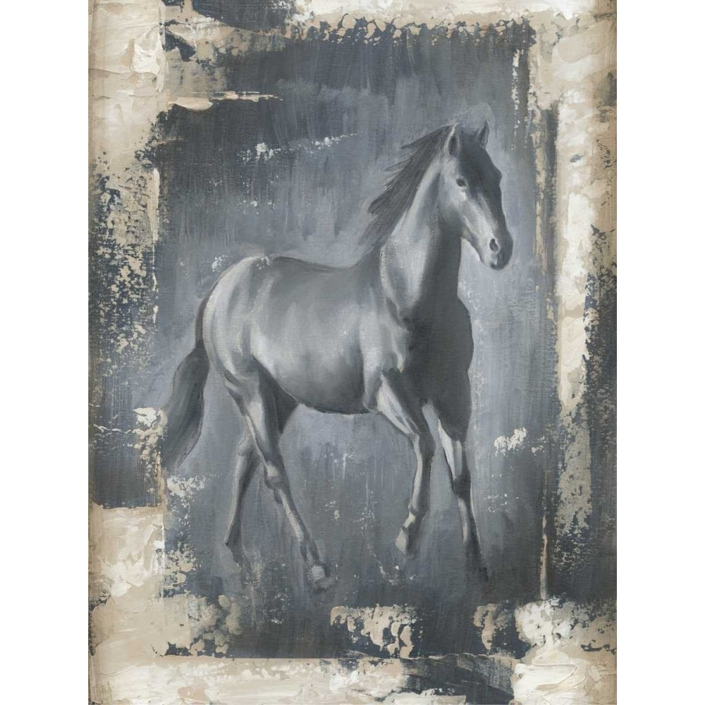 Running Stallion I Poster Print - Ethan Harper-VARPDX31085D Image 1