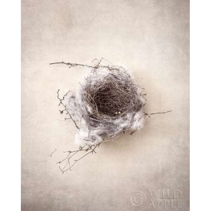 Nest III Poster Print by Debra Van Swearingen-VARPDX31500HR Image 2