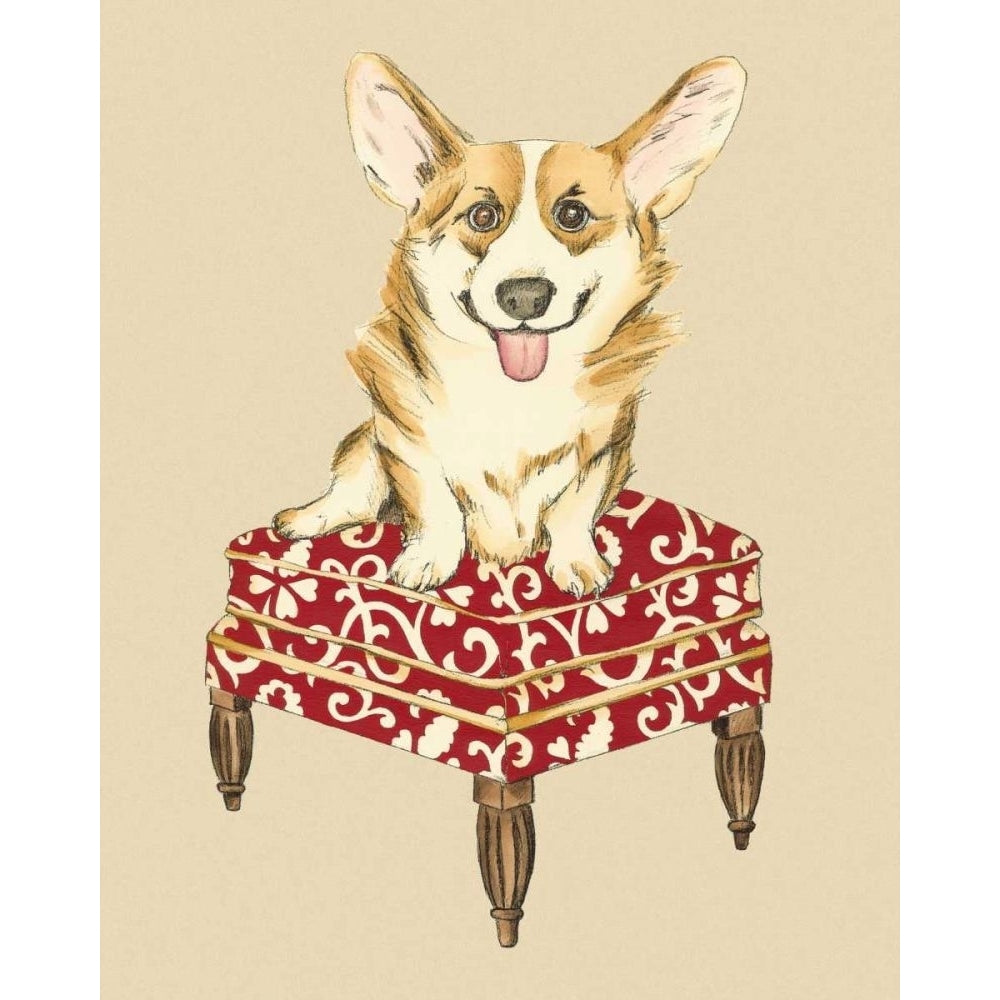 Pampered Pet III Poster Print - Chariklia Zarris-VARPDX31287D Image 1