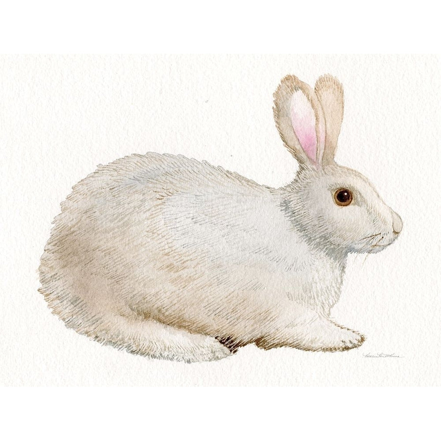 Spring Bunny IV White Poster Print - Kathleen Parr McKenna-VARPDX31711 Image 1