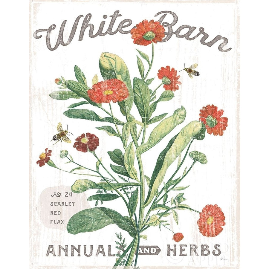 White Barn Flowers IV Poster Print by Sue Schlabach-VARPDX31762 Image 1