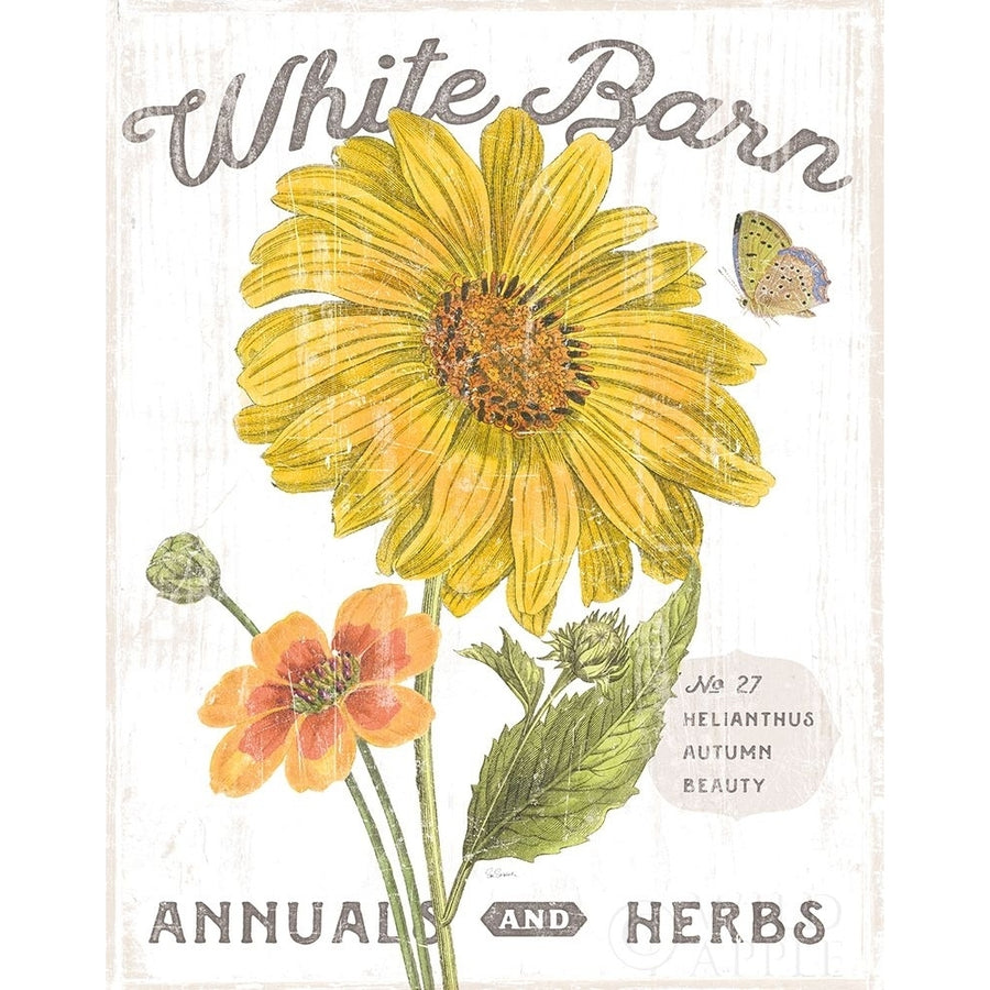 White Barn Flowers I Poster Print by Sue Schlabach-VARPDX31759 Image 1