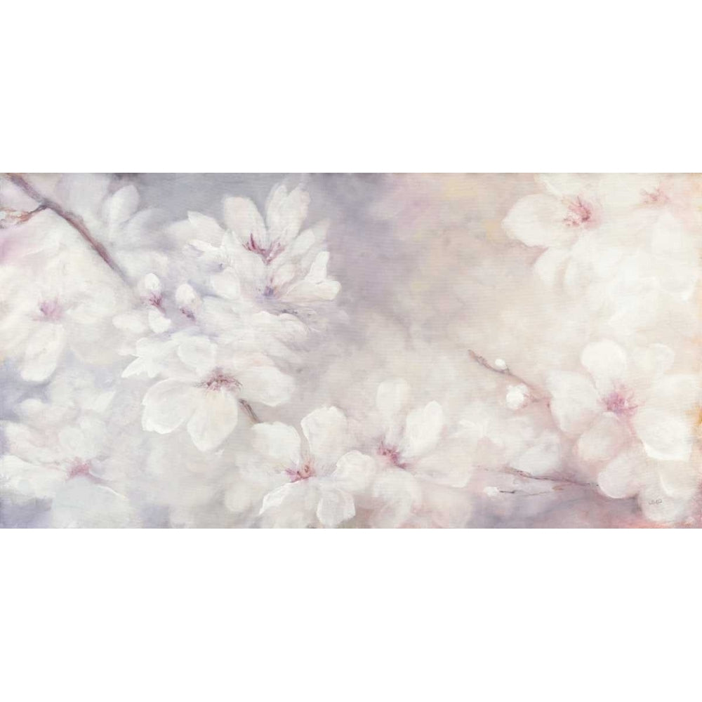 Cherry Blossoms Poster Print by Julia Purinton-VARPDX31783 Image 1