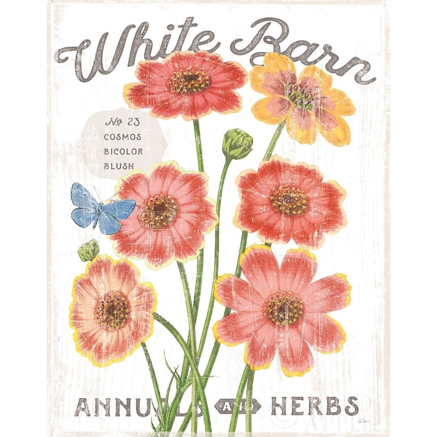 White Barn Flowers III Poster Print by Sue Schlabach-VARPDX31761 Image 1