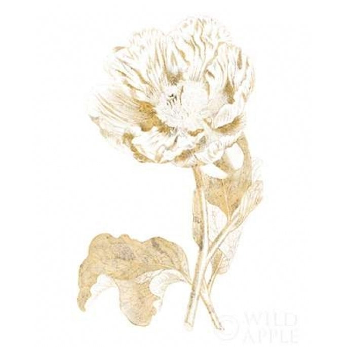 Gilded Botanical VII Poster Print by Wild Apple Portfolio-VARPDX31865 Image 1