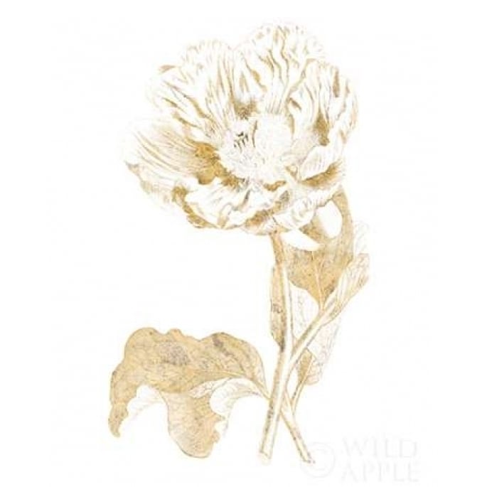 Gilded Botanical VII Poster Print by Wild Apple Portfolio-VARPDX31865 Image 2