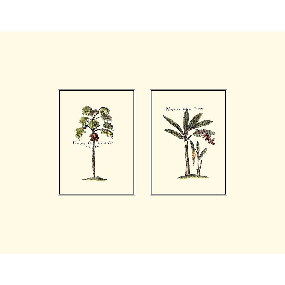 Miniature Palm I Poster Print - Studio Vision-VARPDX3194Z Image 1