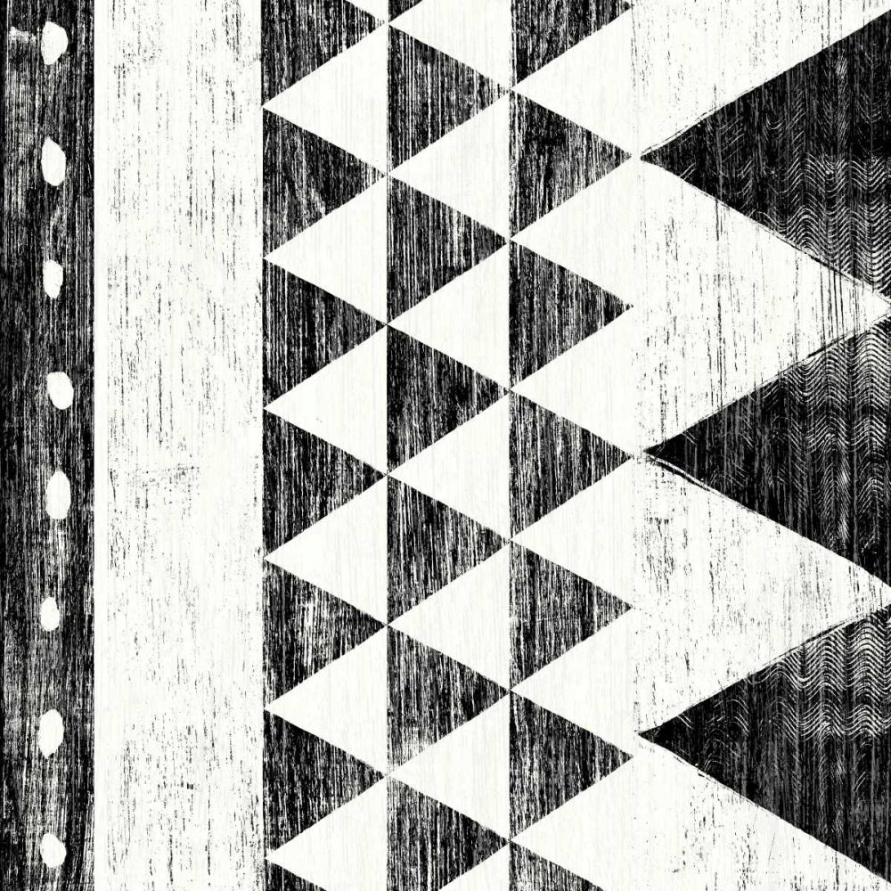 Patterns of the Savanna I No Gray BW Poster Print by Moira Hershey-VARPDX32124 Image 1