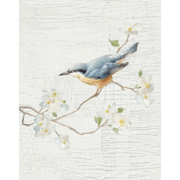 Nuthatch Vintage v2 Poster Print by Danhui Nai-VARPDX32267 Image 1