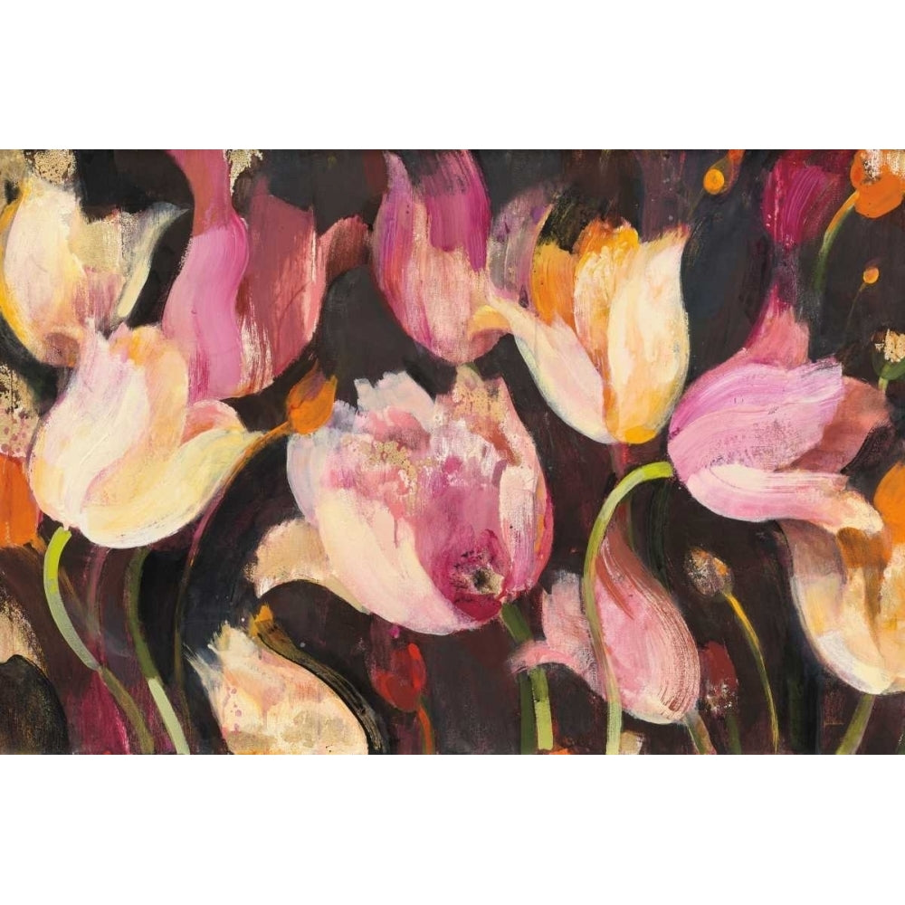 Popping Tulips Poster Print by Albena Hristova-VARPDX32472 Image 2