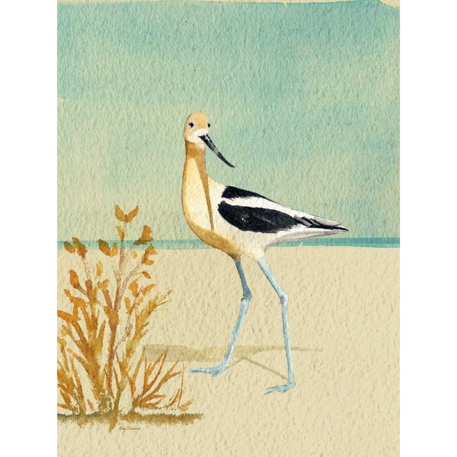 Avocet By The Sea Poster Print by Mary Escobedo-VARPDX331ESC1907 Image 1