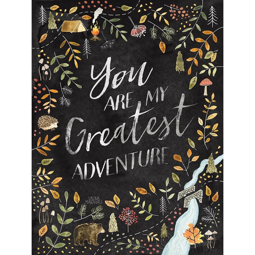 Woodland Whimsy IV Black Poster Print by Laura Marshall-VARPDX33519 Image 1