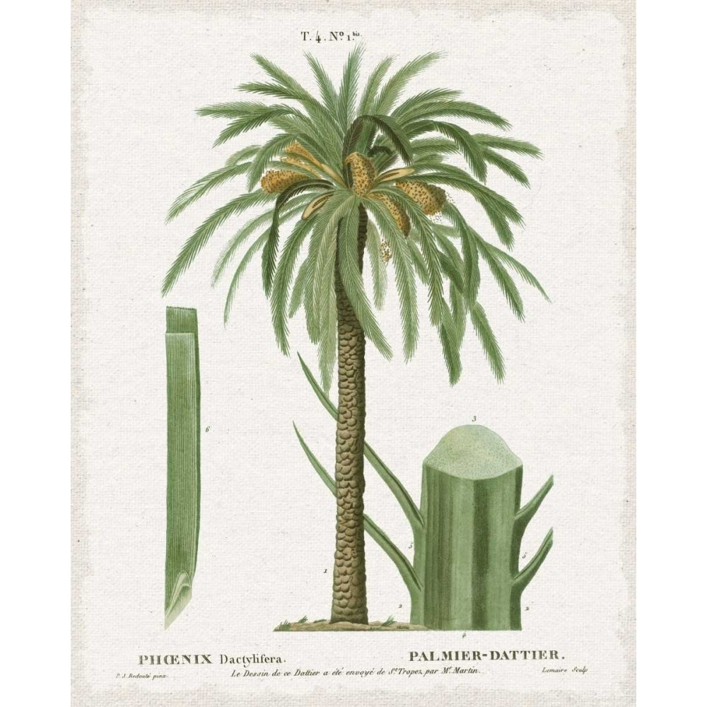 Island Botanicals II Poster Print by Wild Apple Portfolio-VARPDX33416HR Image 2