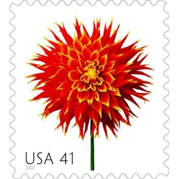 Dahlia 41 Poster Print by US POSTAL SERVICE-VARPDX3362 Image 1