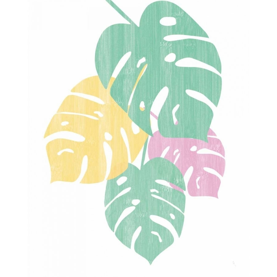 Monstera IV Bright on White Poster Print by Sarah Adams-VARPDX33650 Image 1